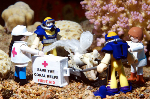 SAVE THE CORAL REEFS 
:-)) by Lucie Drlikova 